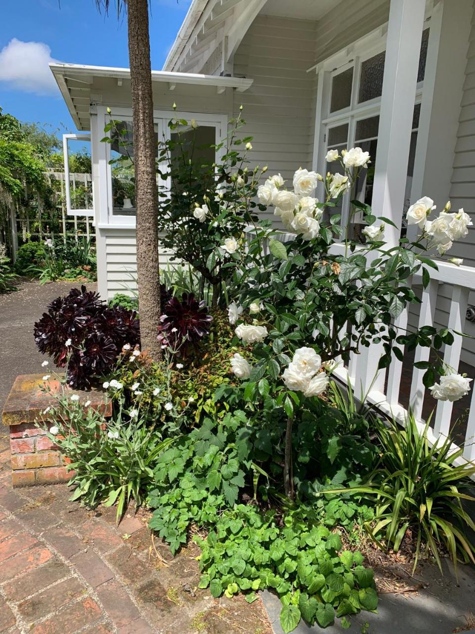 Browns Boutique Bed And Breakfast Whanganui Kültér fotó
